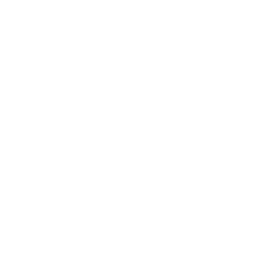 Synapse