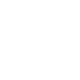 Avalanche