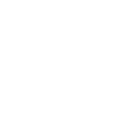 Chainlink