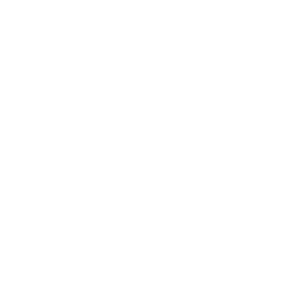 Consesys