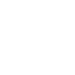 Fireblocks