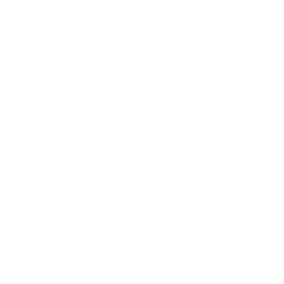 Ledger