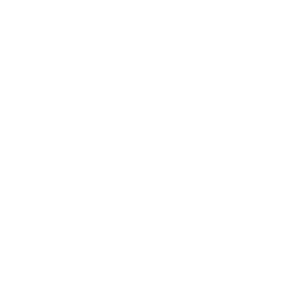 Polkadot