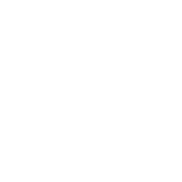 Token Metrics